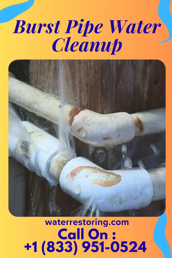 Burst Pipe Water Cleanup in Warren, PA
