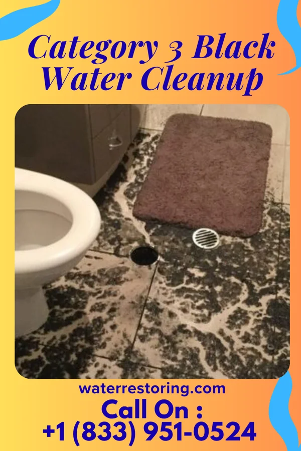 Category 3 Black Water Cleanup in Warren, PA