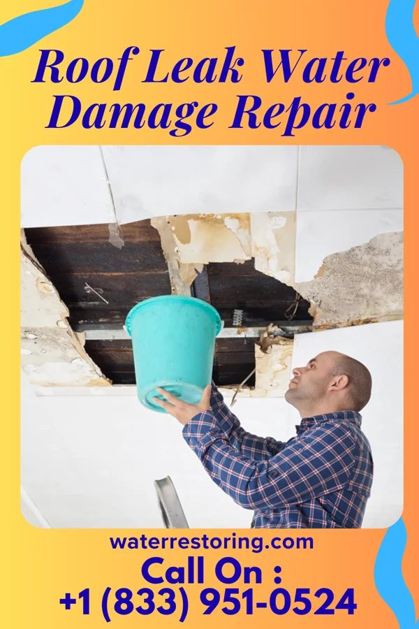 Roof Leak Water Damage Repair in Warren, PA