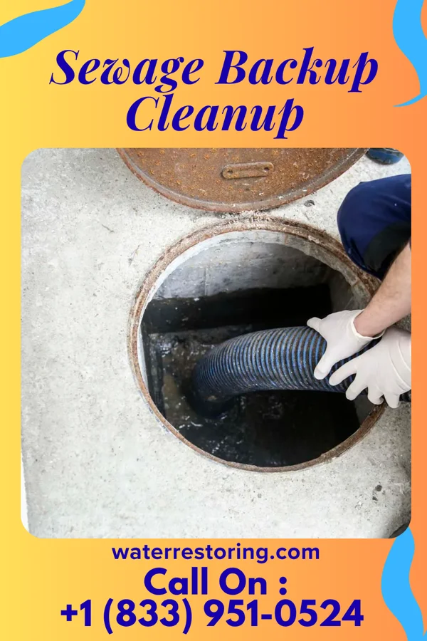 Sewage Backup Cleanup in Warren, PA